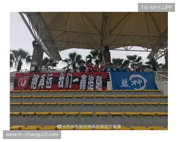 北京足球联赛今日战报更新精彩瞬间回顾与最新积分榜分析