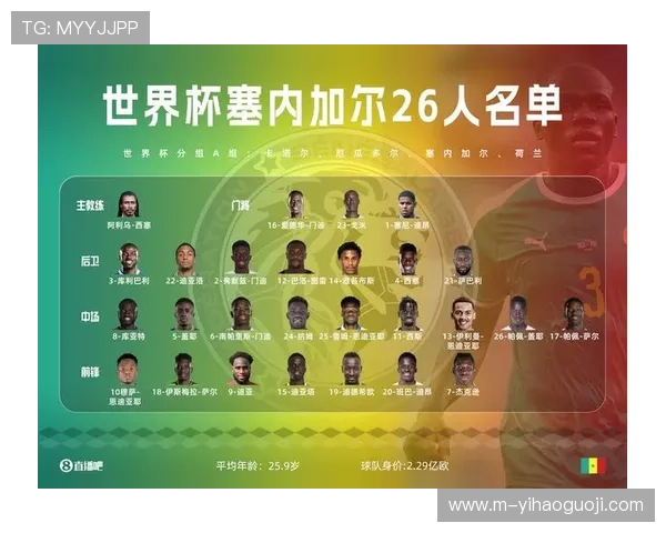 塞内加尔世界杯精彩瞬间回顾与球队表现全面解析